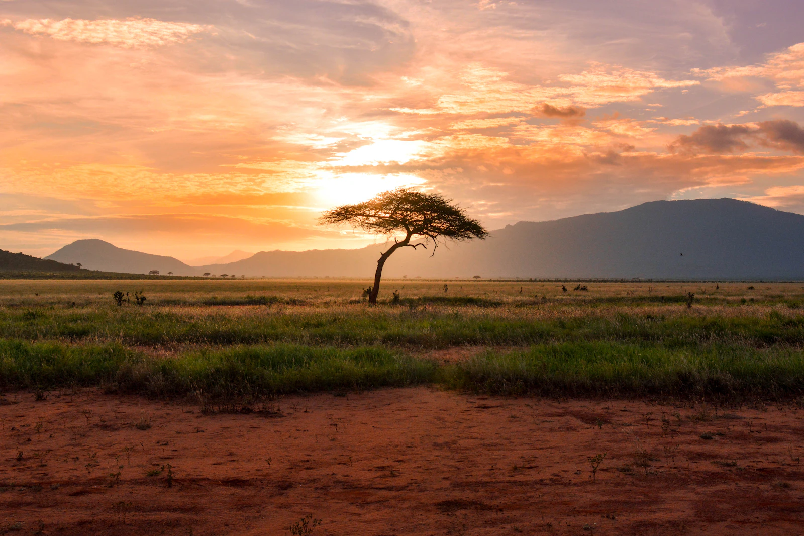 Mozambique travel scene — Flylo eSIM destination